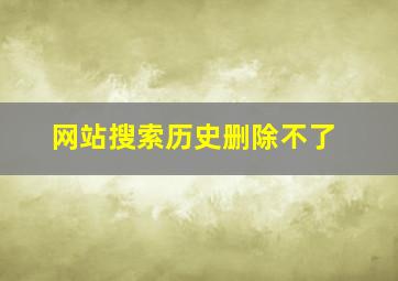 网站搜索历史删除不了