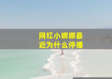 网红小娜娜最近为什么停播