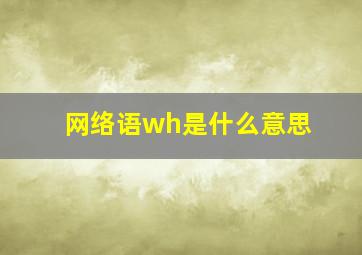 网络语wh是什么意思