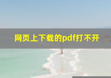 网页上下载的pdf打不开