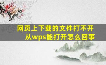 网页上下载的文件打不开从wps能打开怎么回事