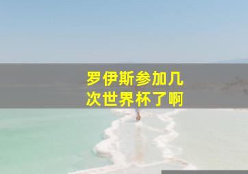 罗伊斯参加几次世界杯了啊