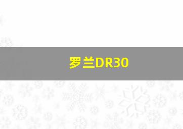 罗兰DR30