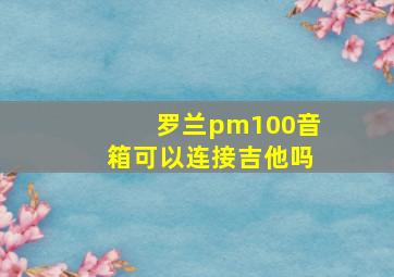 罗兰pm100音箱可以连接吉他吗