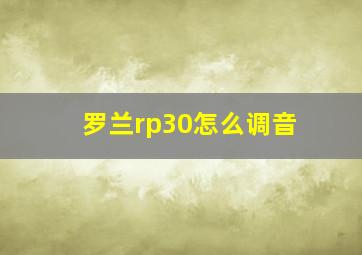 罗兰rp30怎么调音