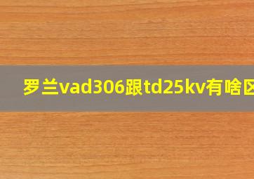 罗兰vad306跟td25kv有啥区别