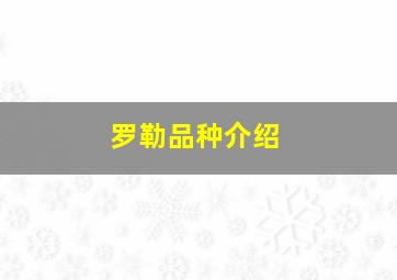 罗勒品种介绍