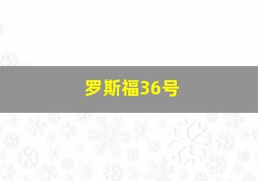 罗斯福36号