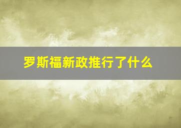 罗斯福新政推行了什么