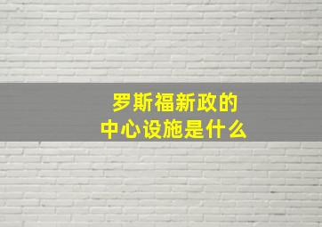 罗斯福新政的中心设施是什么