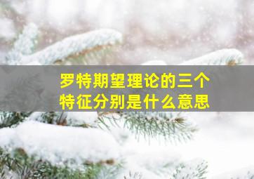 罗特期望理论的三个特征分别是什么意思