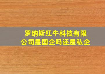 罗纳斯红牛科技有限公司是国企吗还是私企