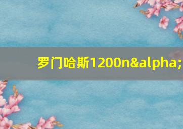 罗门哈斯1200nα