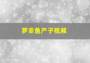 罗非鱼产子视频