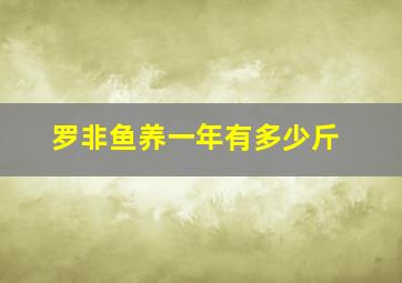 罗非鱼养一年有多少斤