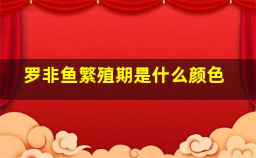 罗非鱼繁殖期是什么颜色