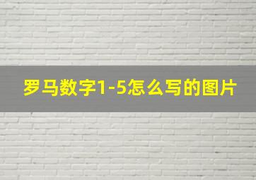 罗马数字1-5怎么写的图片