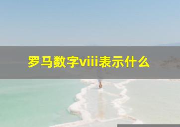 罗马数字viii表示什么