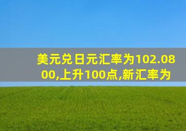 美元兑日元汇率为102.0800,上升100点,新汇率为