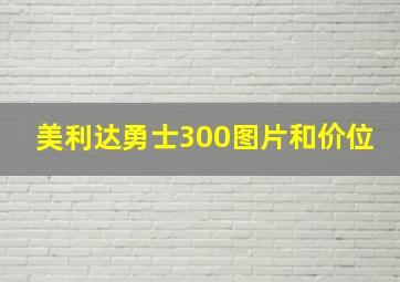 美利达勇士300图片和价位