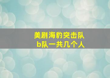 美剧海豹突击队b队一共几个人