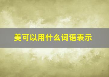 美可以用什么词语表示