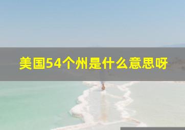 美国54个州是什么意思呀