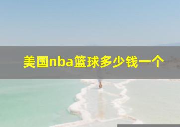 美国nba篮球多少钱一个