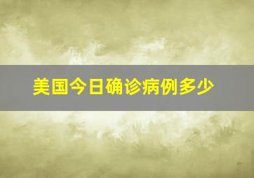 美国今日确诊病例多少