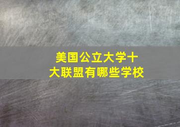 美国公立大学十大联盟有哪些学校