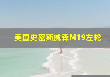 美国史密斯威森M19左轮