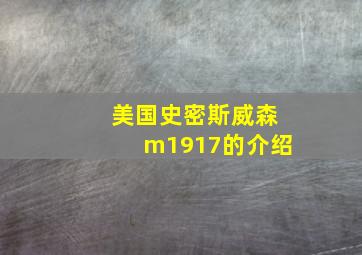 美国史密斯威森m1917的介绍