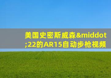 美国史密斯威森·22的AR15自动步枪视频