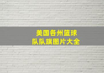 美国各州篮球队队旗图片大全