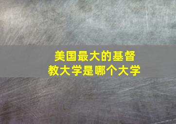 美国最大的基督教大学是哪个大学