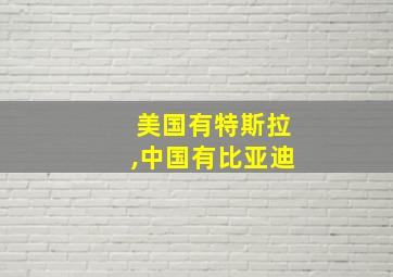 美国有特斯拉,中国有比亚迪