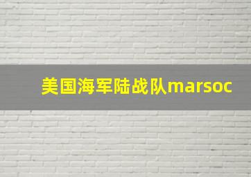 美国海军陆战队marsoc