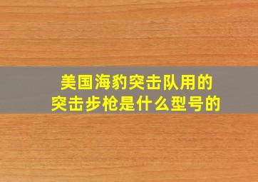 美国海豹突击队用的突击步枪是什么型号的