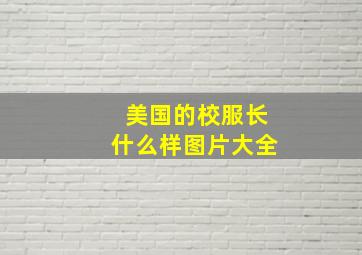 美国的校服长什么样图片大全