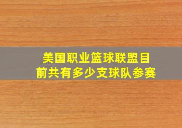 美国职业篮球联盟目前共有多少支球队参赛