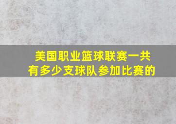 美国职业篮球联赛一共有多少支球队参加比赛的