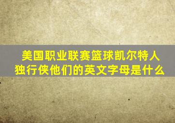 美国职业联赛篮球凯尔特人独行侠他们的英文字母是什么