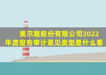 美尔雅股份有限公司2022年度报告审计意见类型是什么看