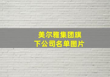 美尔雅集团旗下公司名单图片