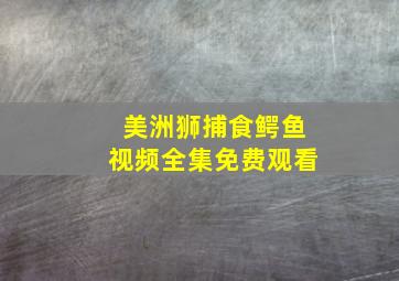 美洲狮捕食鳄鱼视频全集免费观看