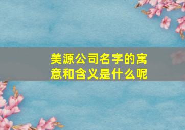 美源公司名字的寓意和含义是什么呢