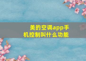 美的空调app手机控制叫什么功能