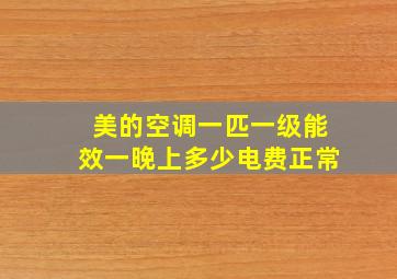 美的空调一匹一级能效一晚上多少电费正常