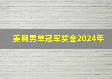 美网男单冠军奖金2024年