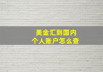 美金汇到国内个人账户怎么查